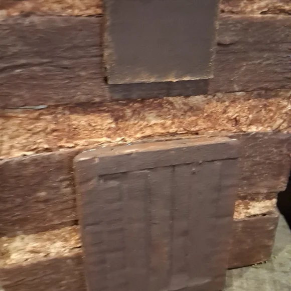 Primitive Cabin - Picture 4 of 4